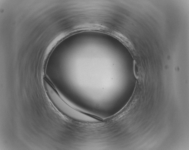 X0000072971188200608111708