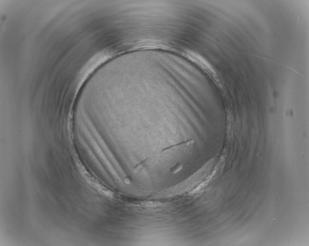 X0000072971190200608111708