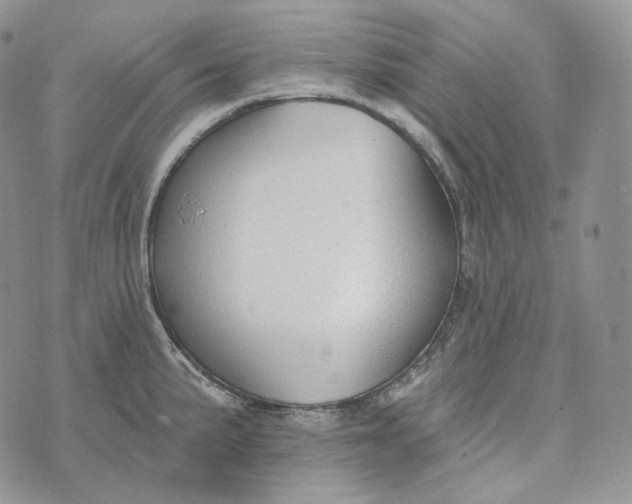 X0000072971191200608111708