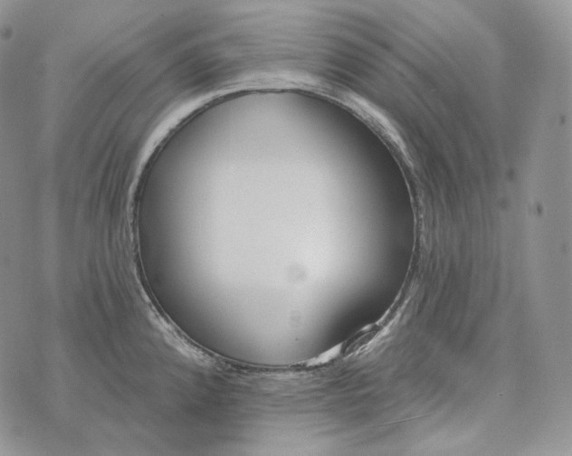 X0000072971192200608111708