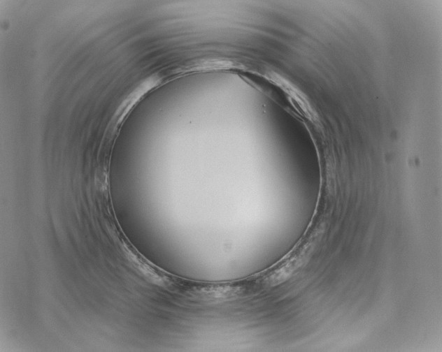 X0000072971193200608111708