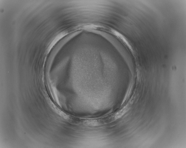 X0000072971194200608111708