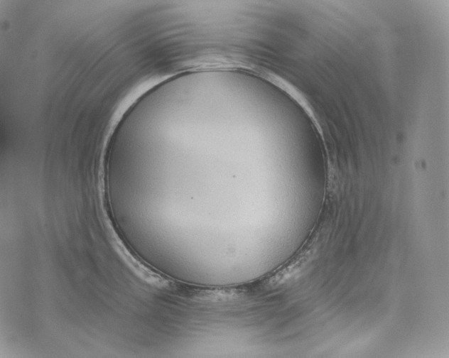 X0000072971195200608111708