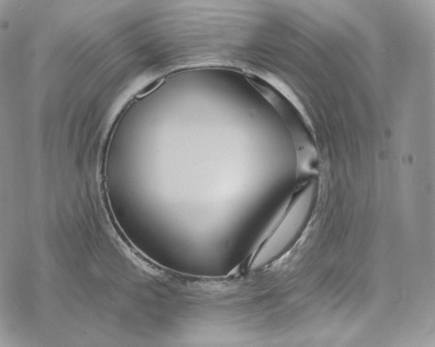 X0000072971197200608111708