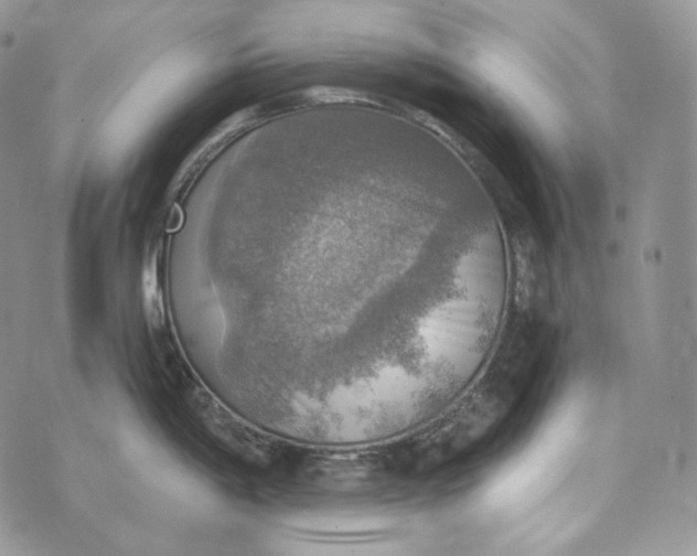 X0000072971198200608111708