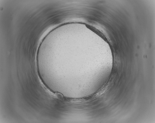 X0000072971199200608111708