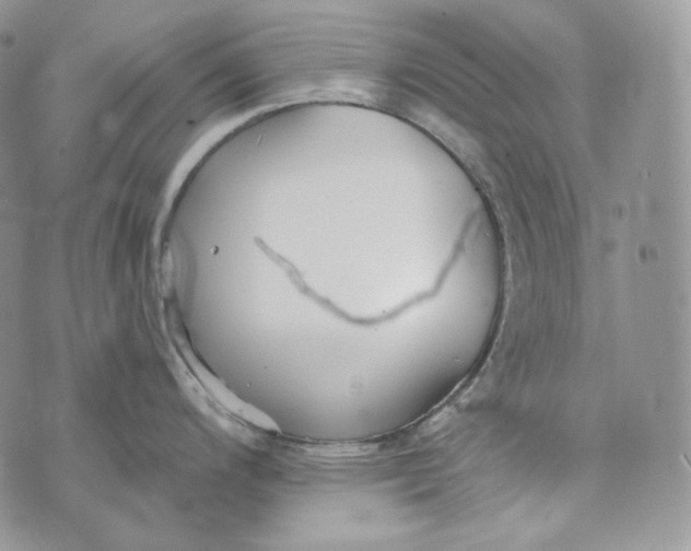 X0000072971200200608111708