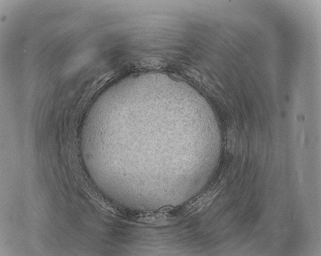 X0000072971201200608111707