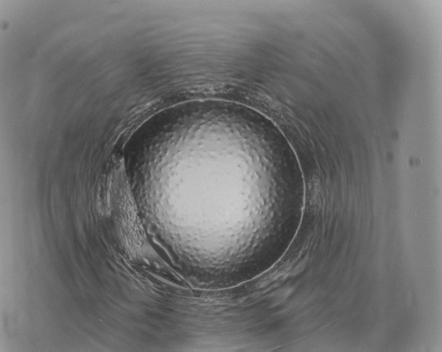 X0000072971202200608111707