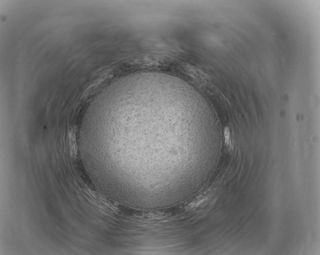 X0000072971203200608111707