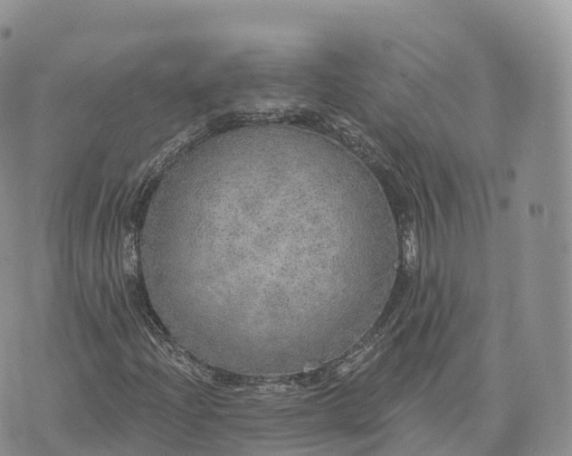 X0000072971204200608111707