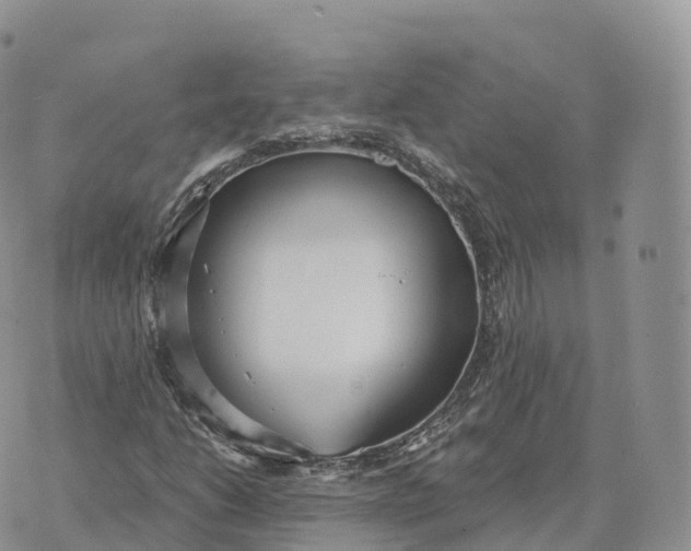 X0000072971206200608111707