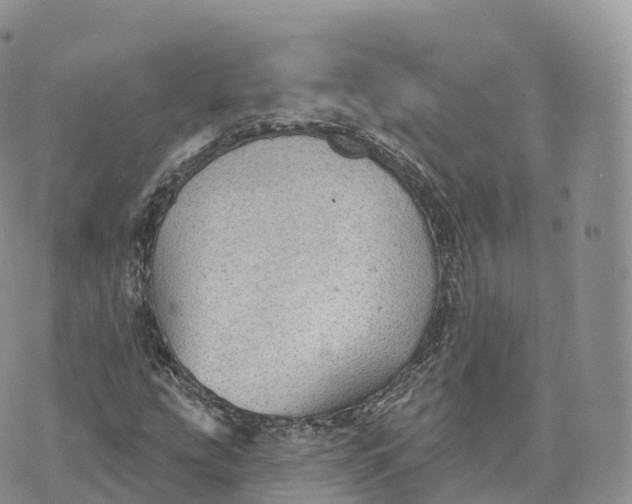 X0000072971207200608111707