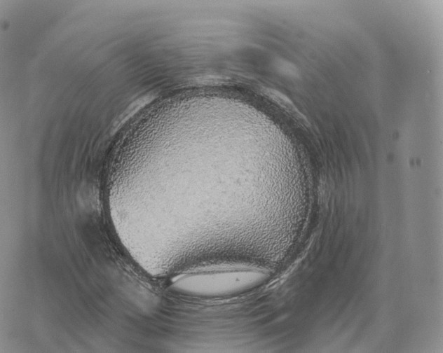 X0000072971209200608111707