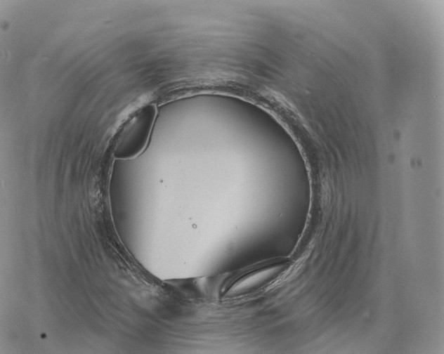 X0000072971210200608111707