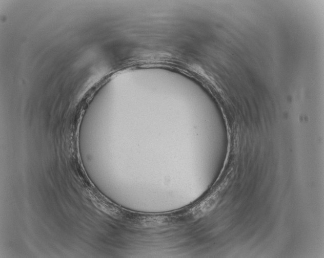 X0000072971211200608111707