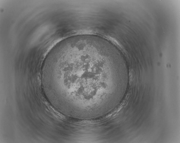 X0000072971212200608111707