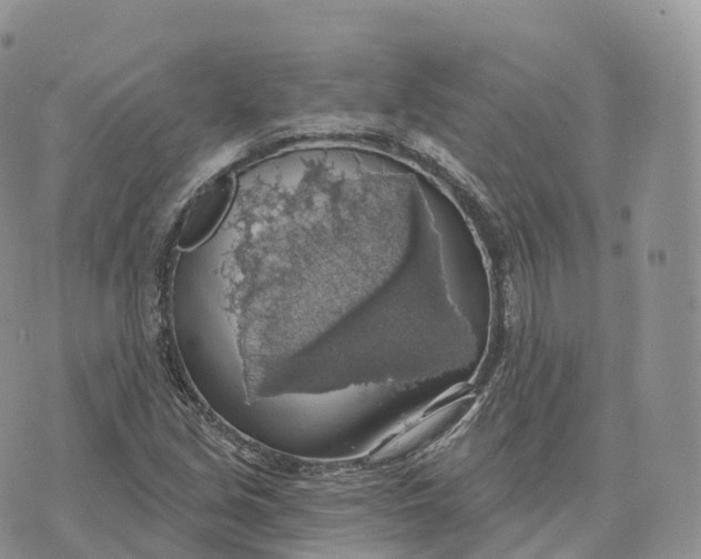 X0000072971213200608111707