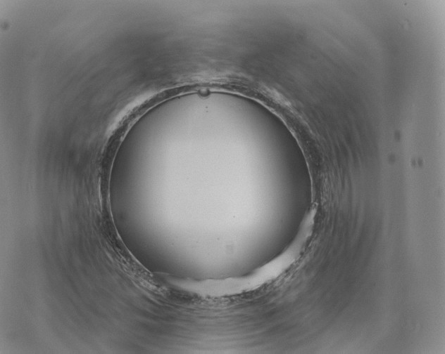 X0000072971214200608111707