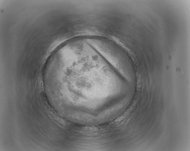 X0000072971215200608111707