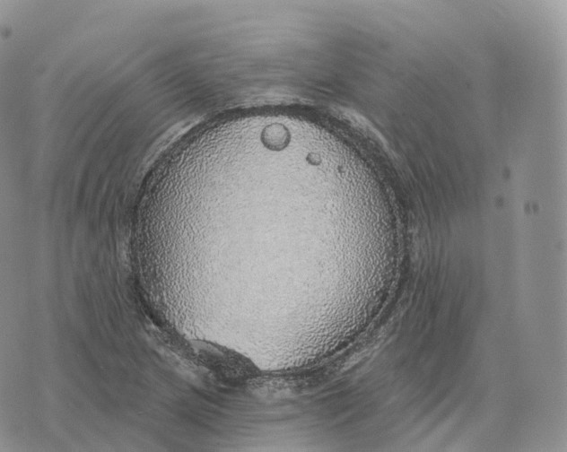 X0000072971217200608111708