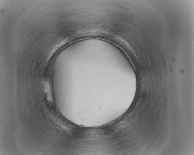 X0000072971218200608111708