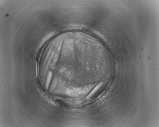 X0000072971219200608111708