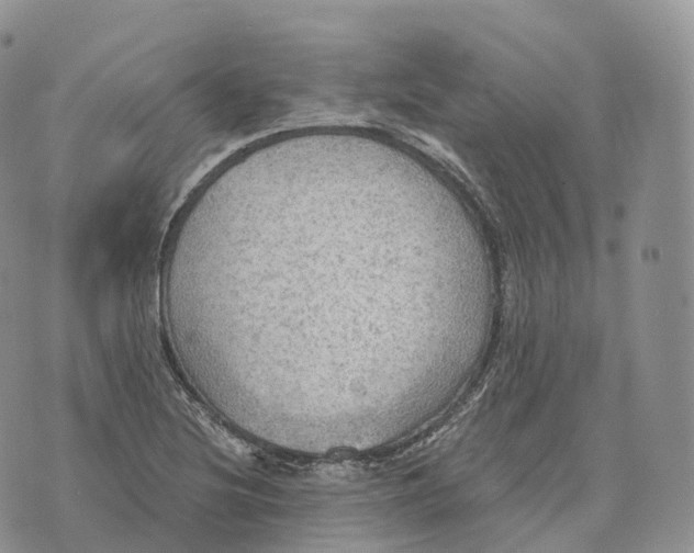 X0000072971220200608111708