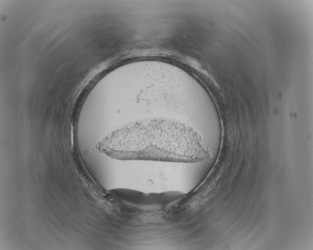 X0000072971221200608111708