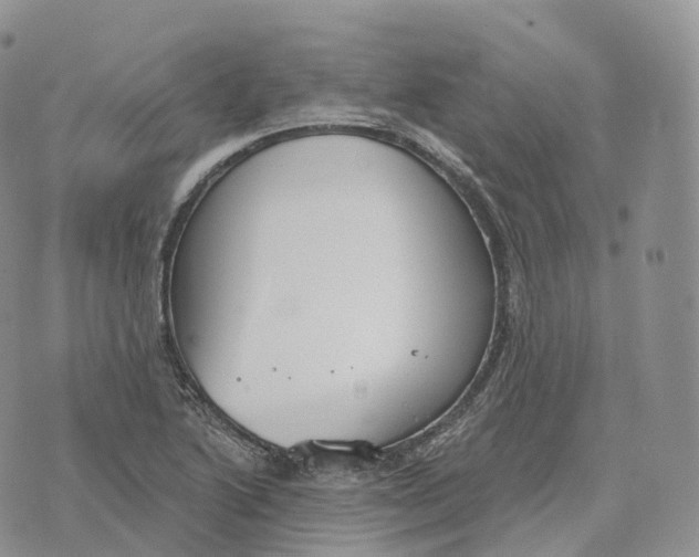 X0000072971222200608111708