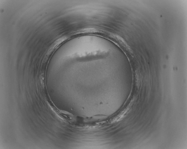 X0000072971225200608111708