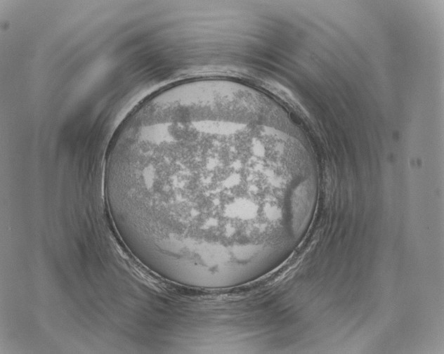 X0000072971228200608111708