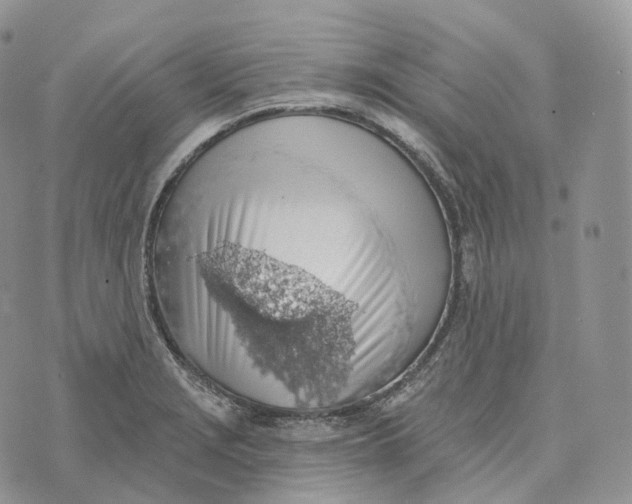 X0000072971229200608111708