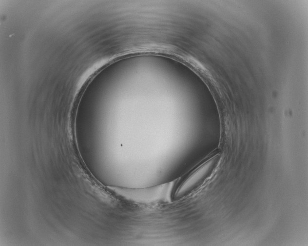 X0000072971230200608111708