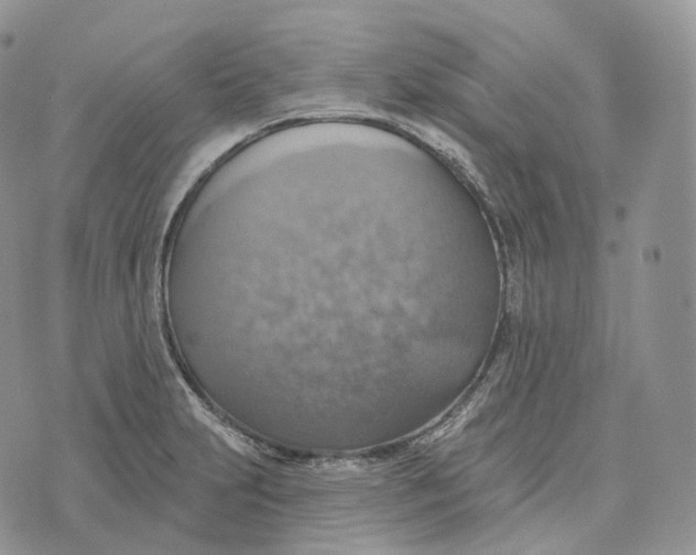 X0000072971231200608111708