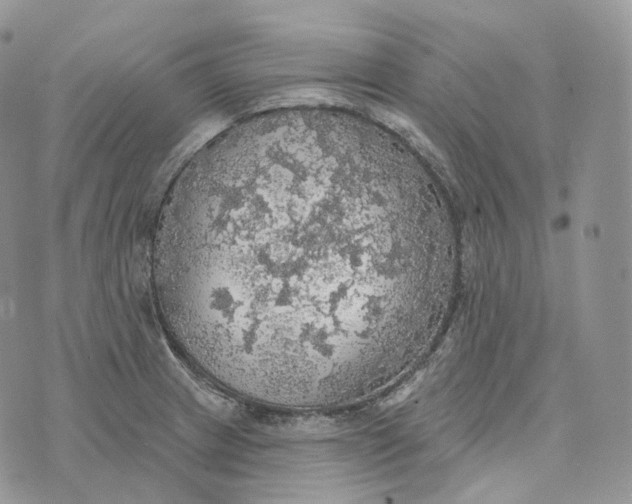 X0000072971233200608111708