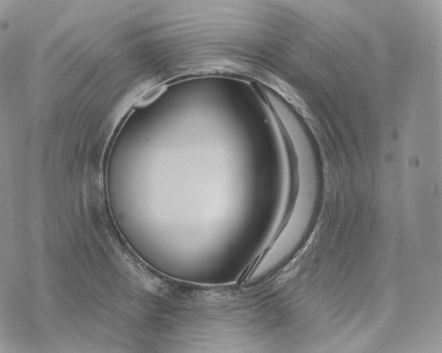 X0000072971234200608111708