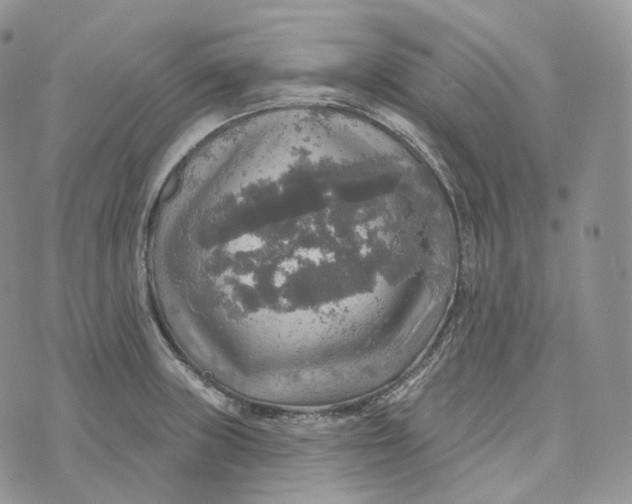 X0000072971235200608111708