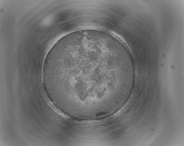 X0000072971236200608111708