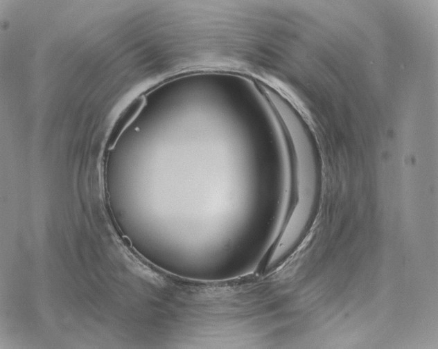 X0000072971238200608111708