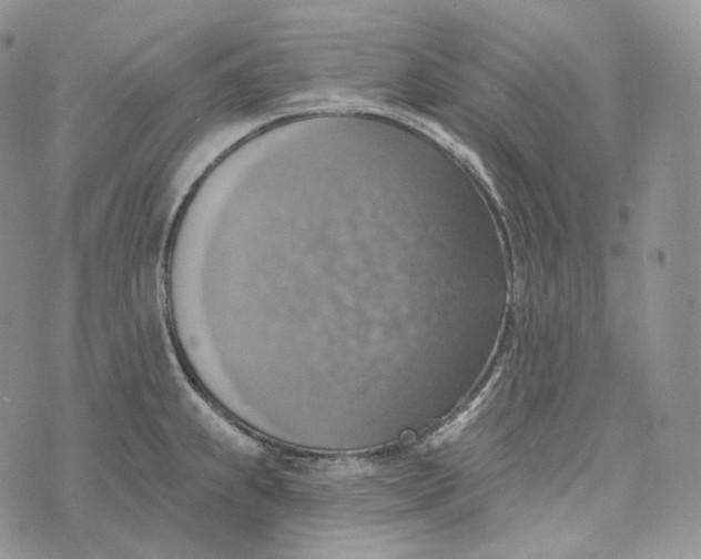 X0000072971239200608111708