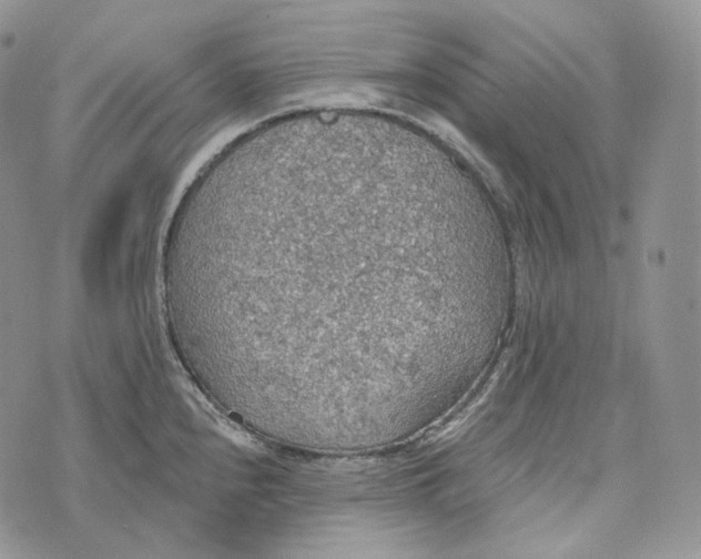 X0000072971240200608111708