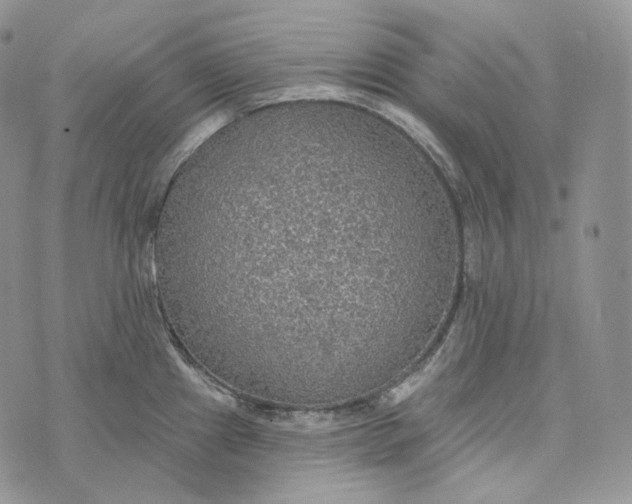 X0000072971241200608111708