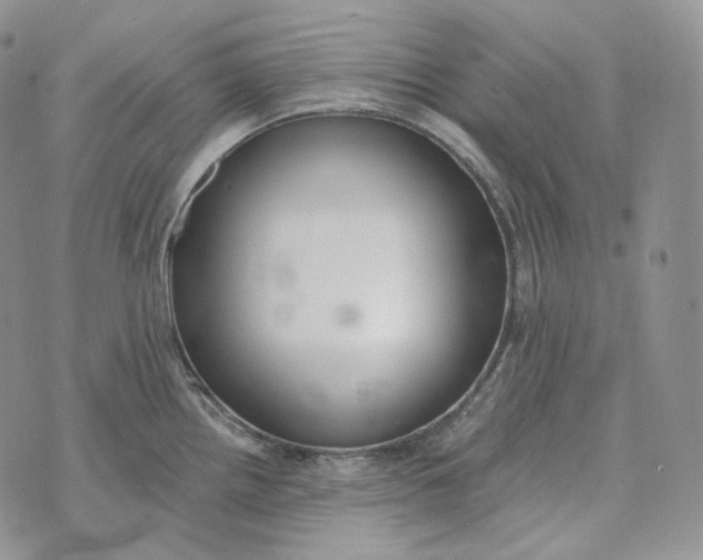 X0000072971242200608111708