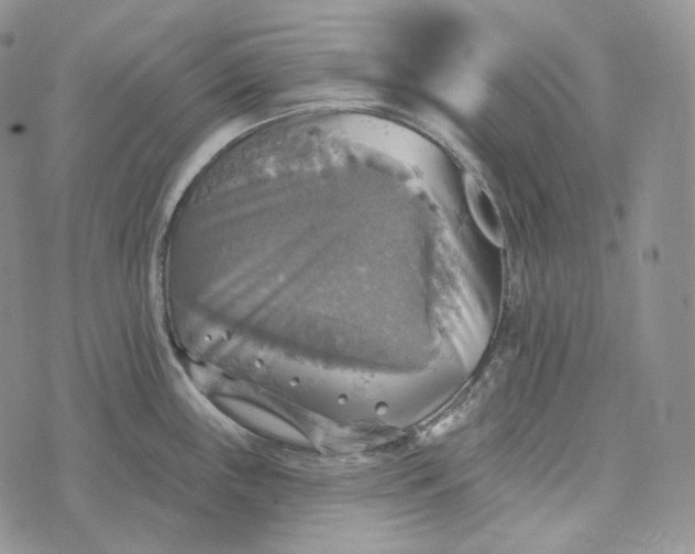 X0000072971243200608111708