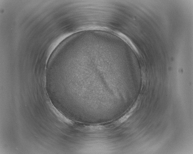 X0000072971244200608111708