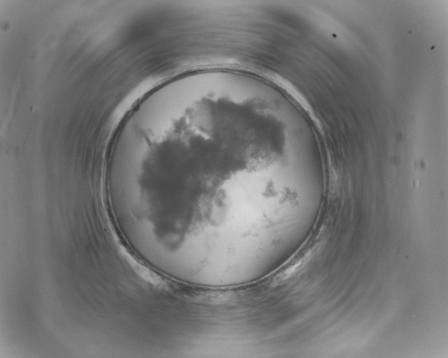 X0000072971245200608111708