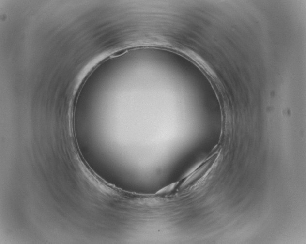 X0000072971246200608111708