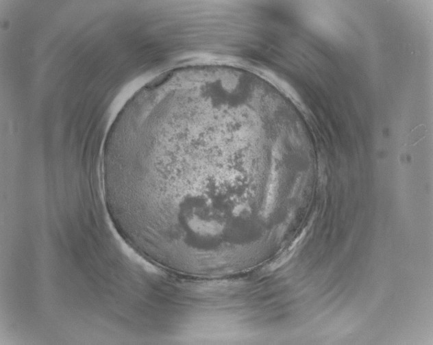 X0000072971247200608111708