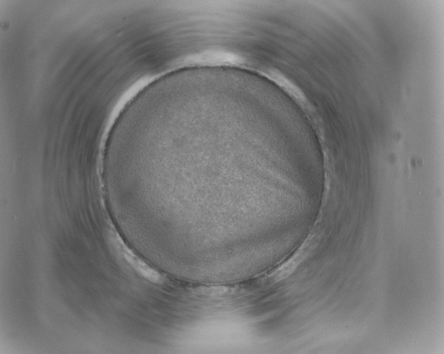 X0000072971248200608111708